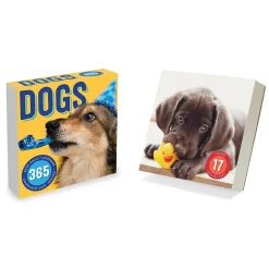 TF Publishing 2025 Dog A Day 5.25" x 5.25" Day-to-Day Calendar (25-3008) Best