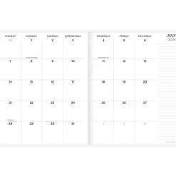 TF Publishing 2024-2025 Graph Paper 6.5" x 8" Academic Monthly Planner, Paperboard Cover, Multicolor (AY25-4206) New