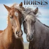TF Publishing 2025 Horses 7" x 7" Monthly Wall Calendar (25-2001) Sale