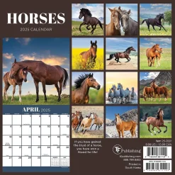 TF Publishing 2025 Horses 7" x 7" Monthly Wall Calendar (25-2001) Sale