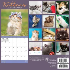 TF Publishing 2025 Kittens 7" x 7" Monthly Wall Calendar (25-2002) New