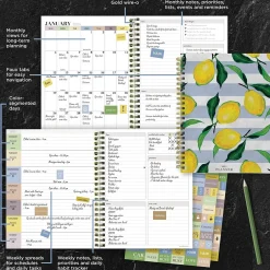 TF Publishing 2025 Lemons of Capri 6.5