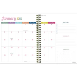 TF Publishing 2025 Malibu Stripes 6.5" x 8" Weekly & Monthly Planner, Paperboard Cover, Multicolor (25-9216) Discount