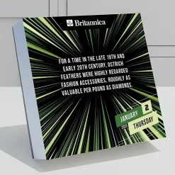 TF Publishing 2025 One Good Fact 5.25