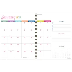 TF Publishing 2025 Palms & Sunshine 9" x 11" Weekly & Monthly Planner, Paperboard Cover, Multicolored (25-9716) Clearance