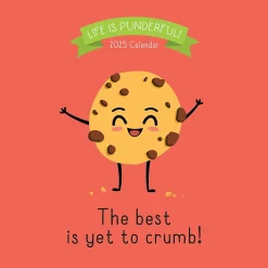 TF Publishing 2025 Puns of Fun 12" x 12" Monthly Wall Calendar (25-1117) Clearance