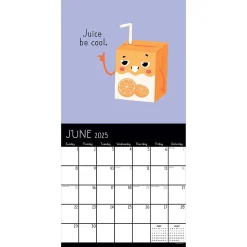 TF Publishing 2025 Puns of Fun 12