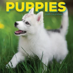 TF Publishing 2025 Puppies 12" x 12" Monthly Wall Calendar (25-1025) Best