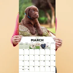 TF Publishing 2025 Puppies 12