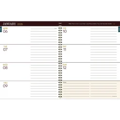 TF Publishing 2025 Renaissance Year 9