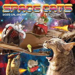 TF Publishing 2025 Space Cats 12" x 12" Monthly Wall Calendar (25-1026) New