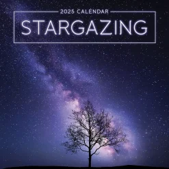 TF Publishing 2025 Stargazing 7" x 7" Monthly Wall Calendar (25-2010) Sale