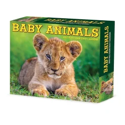 Willow Creek 2025 Baby Animals 6.2