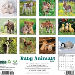 Willow Creek 2025 Baby Animals 12" x 12" Monthly Wall Calendar (41529) Hot