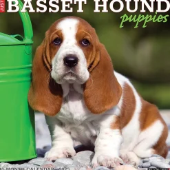 Willow Creek 2025 Basset Hound Puppies 12" x 12" Yearly Wall Calendar (41598)