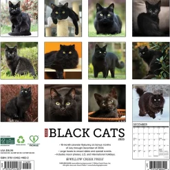 Willow Creek 2025 Black Cats 12" x 12" Monthly Wall Calendar (41833) New