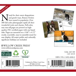 Willow Creek 2025 Boston Terriers 6" x 5.5" Day-to-Day Calendar (40683) Sale