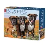 Willow Creek 2025 Boxers 6" x 5.5" Day-to-Day Calendar (40690) Clearance
