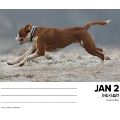 Willow Creek 2025 Boxers 6