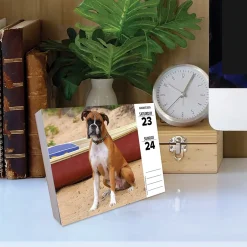 Willow Creek 2025 Boxers 6