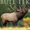 Willow Creek 2025 Bull Elk 12" x 12" Monthly Wall Calendar, Multicolor (42007) Sale