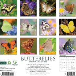 Willow Creek 2025 Butterflies 12" x 12" Monthly Wall Calendar (42052) Clearance