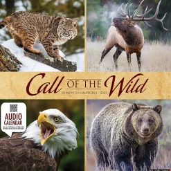 Willow Creek 2025 Call of the Wild 12" x 12" Monthly Wall Calendar (42113) Sale