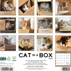 Willow Creek 2025 Cat in a Box 12" x 12" Monthly Wall Calendar (42182)