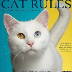 Willow Creek 2025 Cat Rules 12" x 12" Monthly Wall Calendar (42199) Clearance