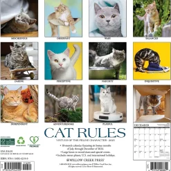 Willow Creek 2025 Cat Rules 12" x 12" Monthly Wall Calendar (42199) Clearance