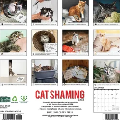 Willow Creek 2025 Cat Shaming 12" x 12" Monthly Wall Calendar (42205) Online