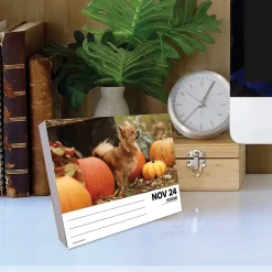 Willow Creek 2025 Chihuahuas 6