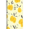 Willow Creek 2025 Citrus Grove 3.5" x 6.5" Academic Year Weekly Planner Cover, Multicolored (48726) Online