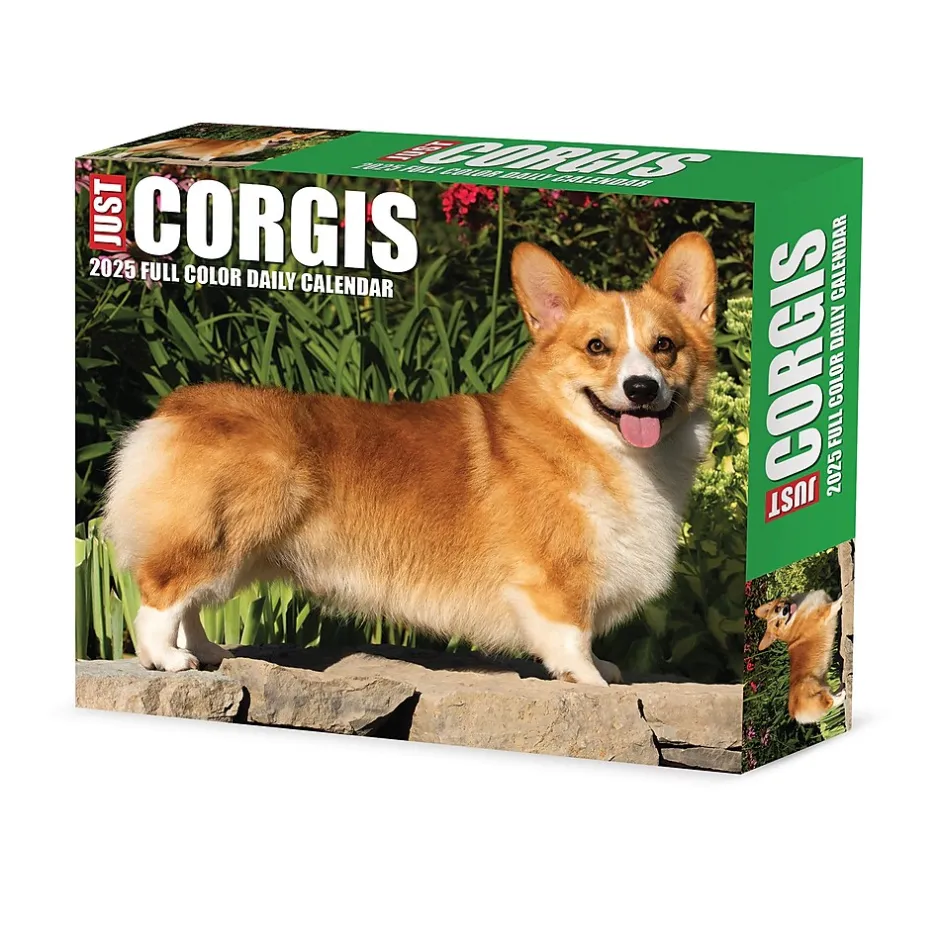 Willow Creek 2025 Corgis (Dogs and Puppies) 6" x 5.5" Day-to-Day Calendar, Multicolor (40751) Hot
