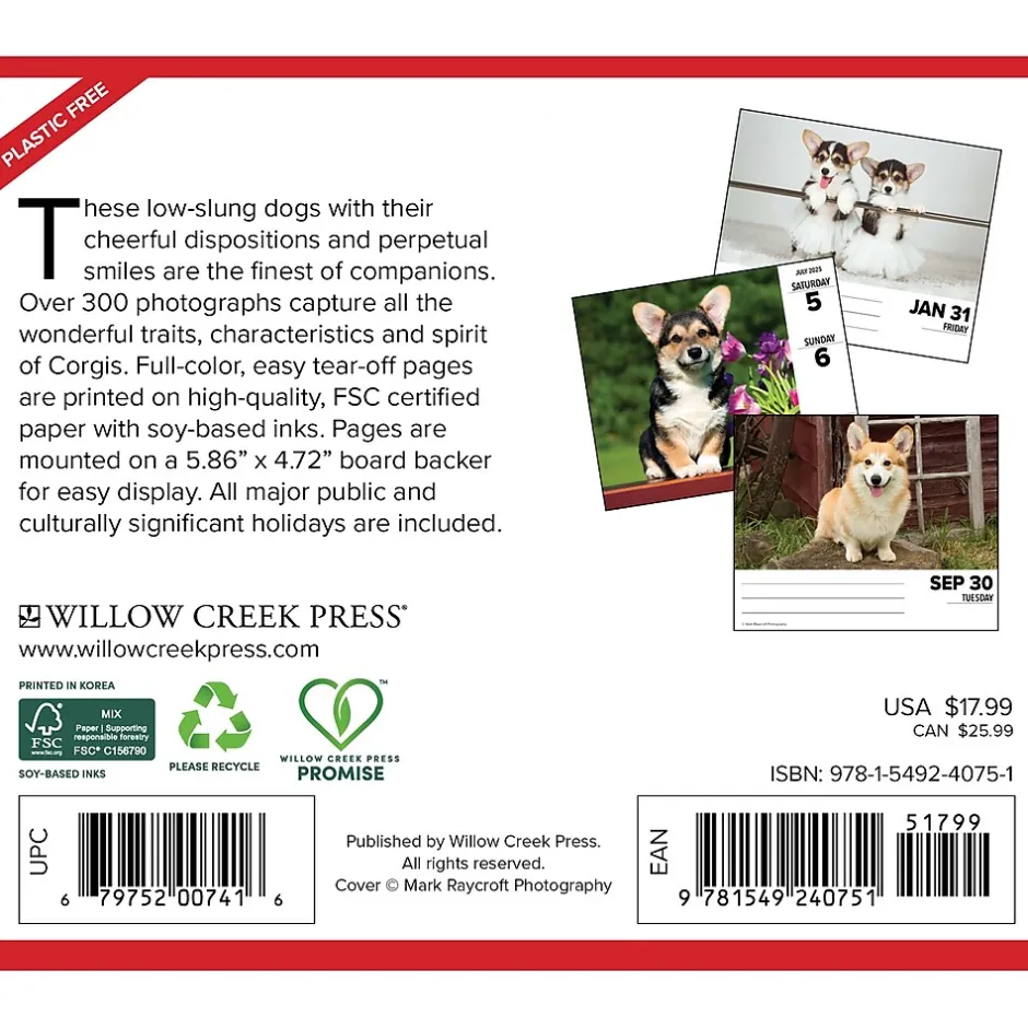 Willow Creek 2025 Corgis (Dogs and Puppies) 6" x 5.5" Day-to-Day Calendar, Multicolor (40751) Hot