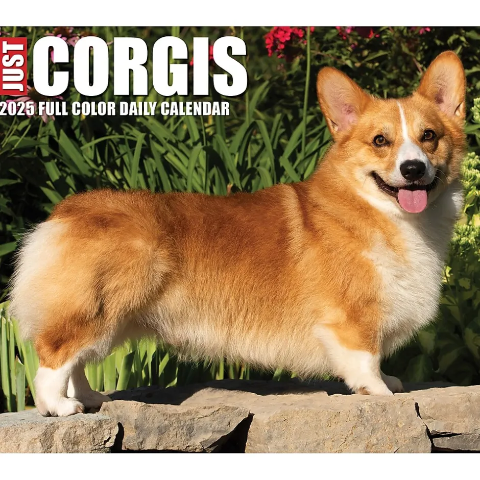 Willow Creek 2025 Corgis (Dogs and Puppies) 6" x 5.5" Day-to-Day Calendar, Multicolor (40751) Hot