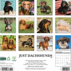 Willow Creek 2025 Dachshunds 12" x 12" Monthly Wall Calendar (42663) Online