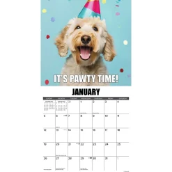 Willow Creek 2025 Dog-Gone-It 12