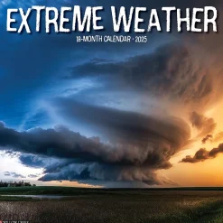 Willow Creek 2025 Extreme Weather 12" x 12" Monthly Wall Calendar (42854) New