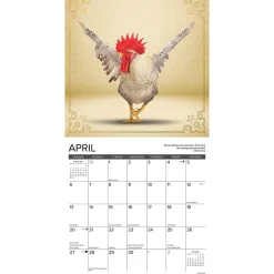 Willow Creek 2025 Farm Yoga 12