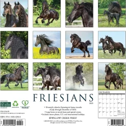 Willow Creek 2025 Friesians 12" x 12" Monthly Wall Calendar (42960) Online