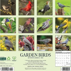 Willow Creek 2025 Garden Birds of North America 12" x 12" Monthly Wall Calendar (42984)