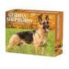 Willow Creek 2025 German Shepherds 6" x 5.5" Day-to-Day Calendar, Multicolor (40843) Clearance