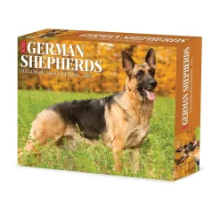 Willow Creek 2025 German Shepherds 6" x 5.5" Day-to-Day Calendar, Multicolor (40843) Clearance