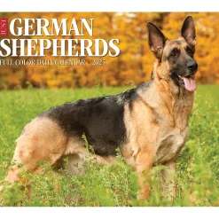 Willow Creek 2025 German Shepherds 6