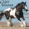 Willow Creek 2025 Gypsy Vanner Horse 12" x 12" Monthly Wall Calendar (43264) Online