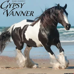 Willow Creek 2025 Gypsy Vanner Horse 12" x 12" Monthly Wall Calendar (43264) Online