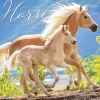Willow Creek 2025 Happiness is a Horse 12" x 12" Monthly Wall Calendar (43271)