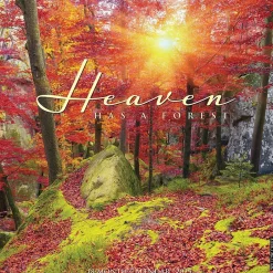 Willow Creek 2025 Heaven Has a Forest 12" x 12" Monthly Wall Calendar (43325) Online