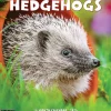 Willow Creek 2025 Hedgehogs 12" x 12" Monthly Wall Calendar (43332) Discount